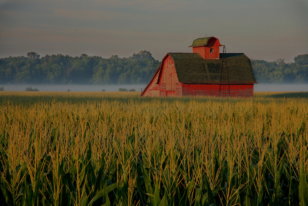 farm and crop insurance Salem IN